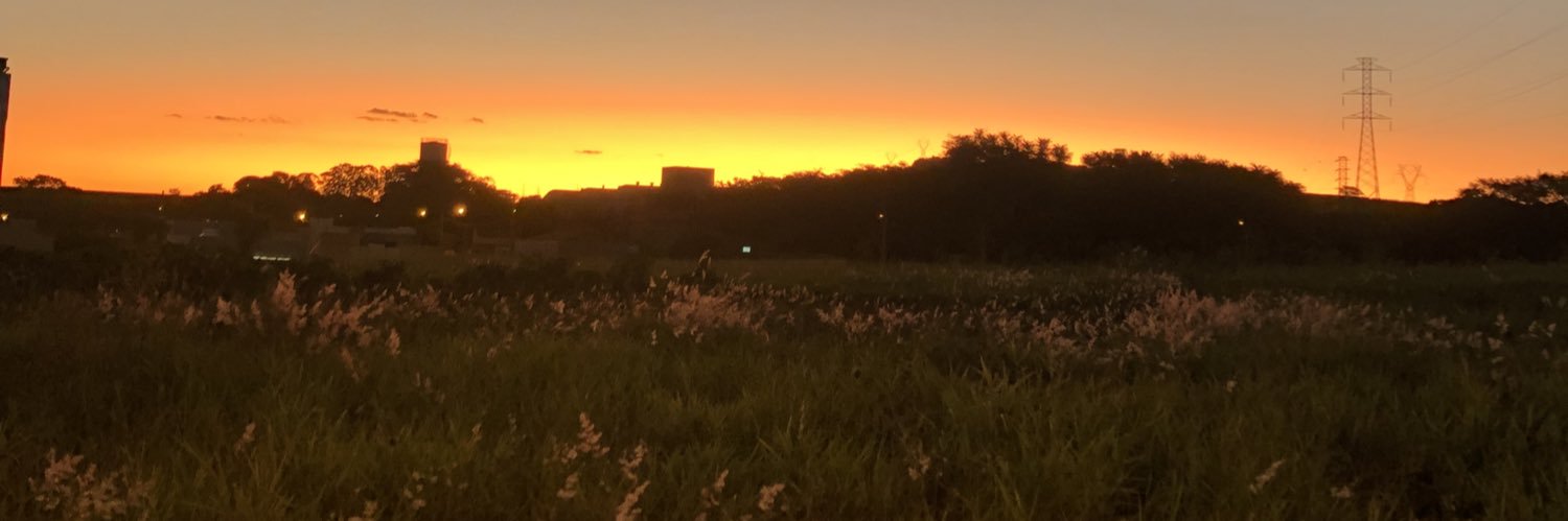 netovst's profile banner image