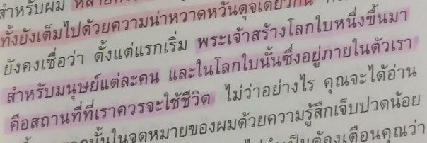 (Busy 📚) Faria (ไม่ซัปนย.problematic ทุกรูปแบบ) banner