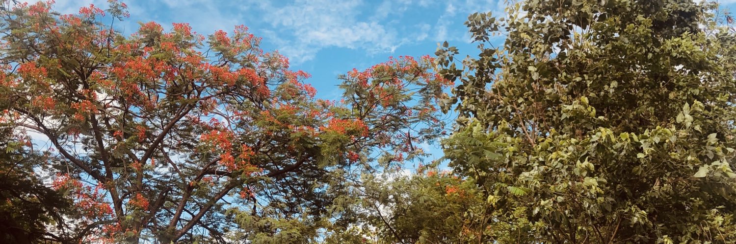 pdm28's profile banner image