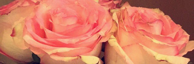 saraa660's profile banner image
