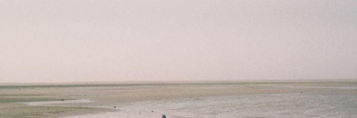 🐶unde ✶ banner