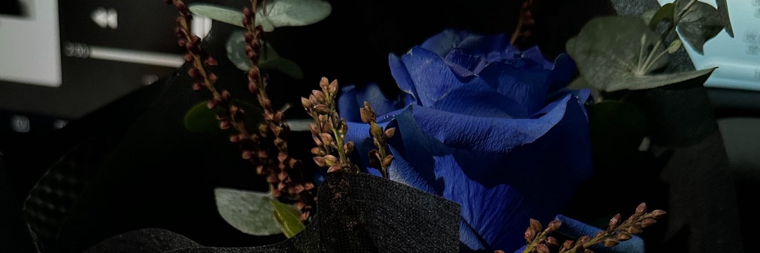 debuilt_t's profile banner image