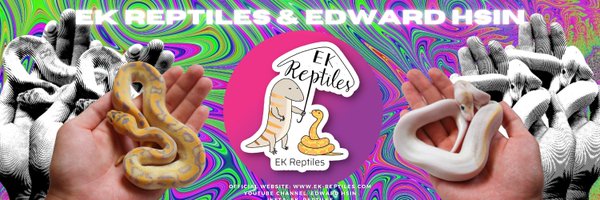 EkReptiles Profile Banner