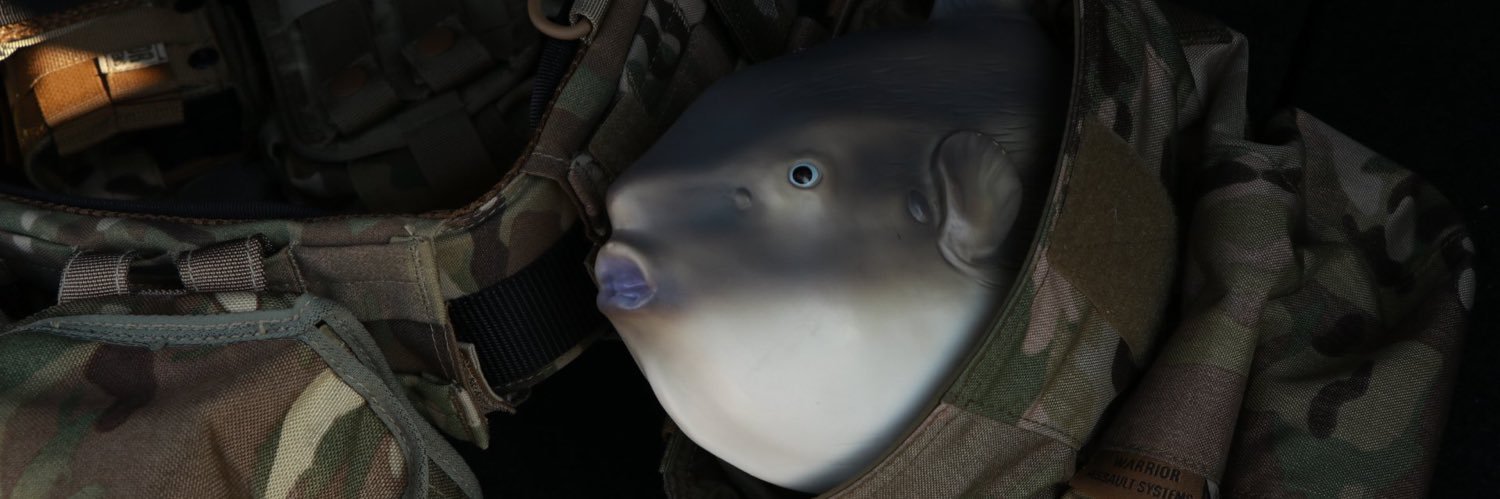 +霧島(黒々) banner