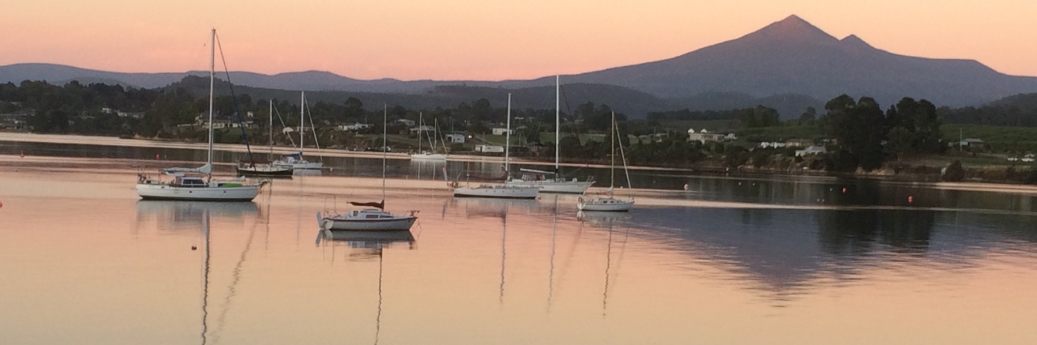 Denise #FreePalestine banner