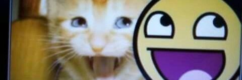 witymirsky's profile banner image