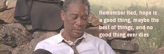 Mark Spadafore banner