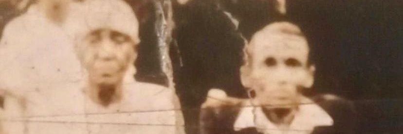 weissergerber's profile banner image