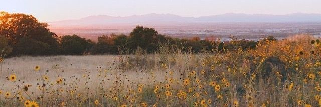 𝒁𝒆𝒆𝒏𝒂 banner