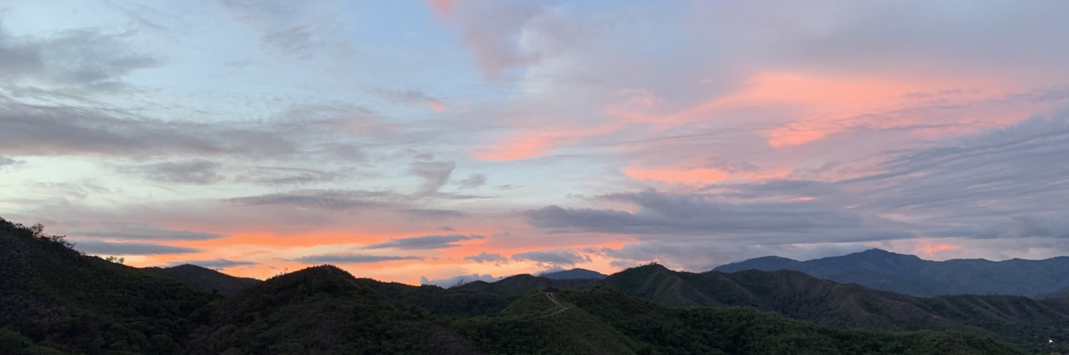 orgoncalves's profile banner image