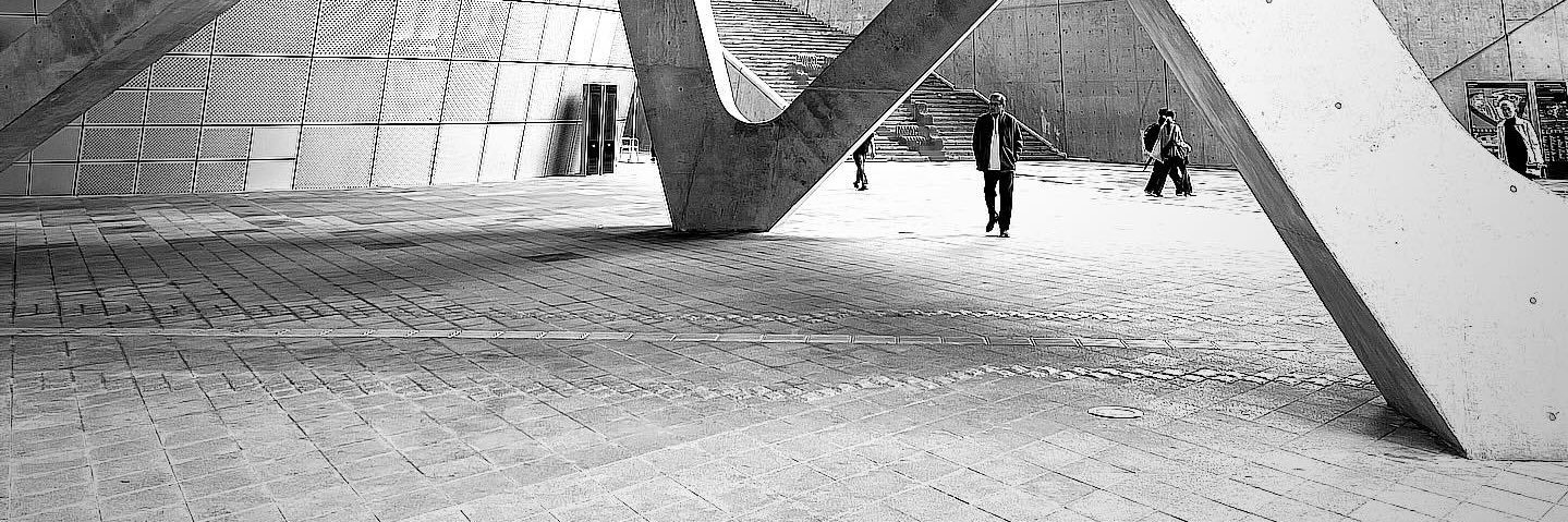 Catherine David banner