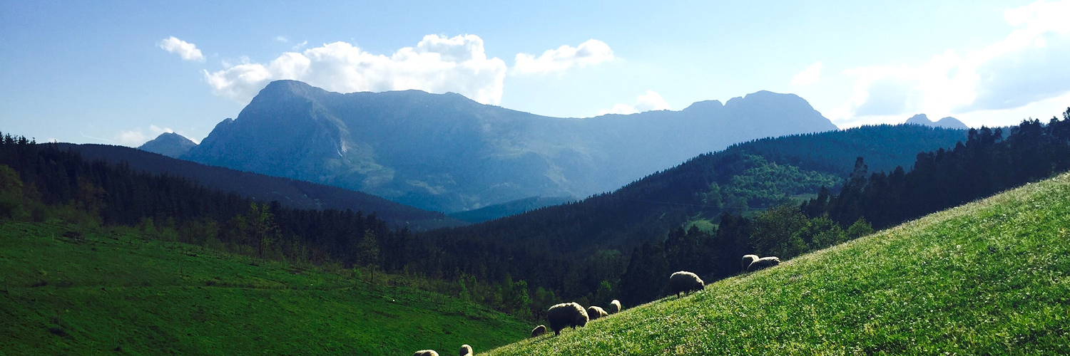 Urkiola Landa Garapenerako Elkartea banner