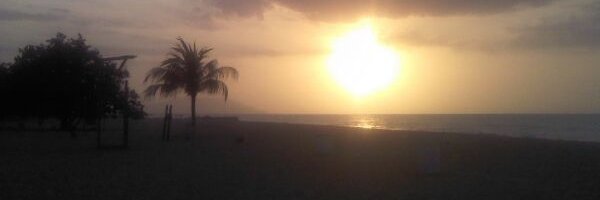 alix_72's profile banner image