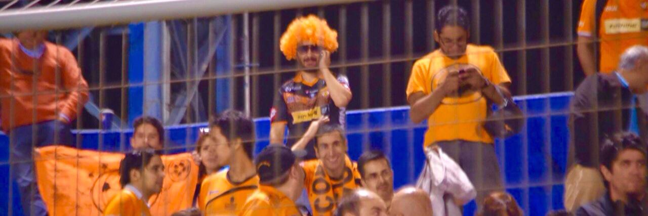 Nico Olea 🦊 banner