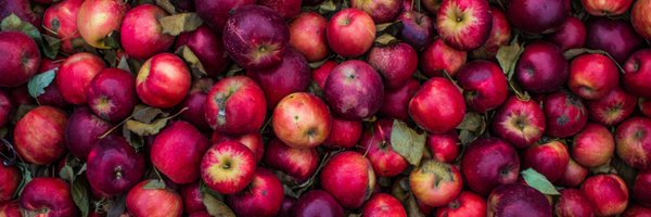 AppleWriter Profile Banner