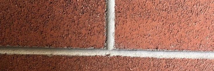 S banner