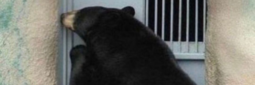 kupondas's profile banner image
