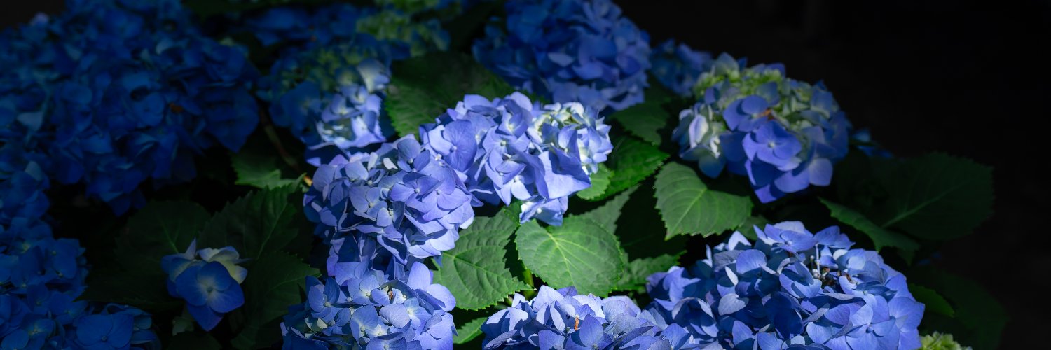 _urusy's profile banner image