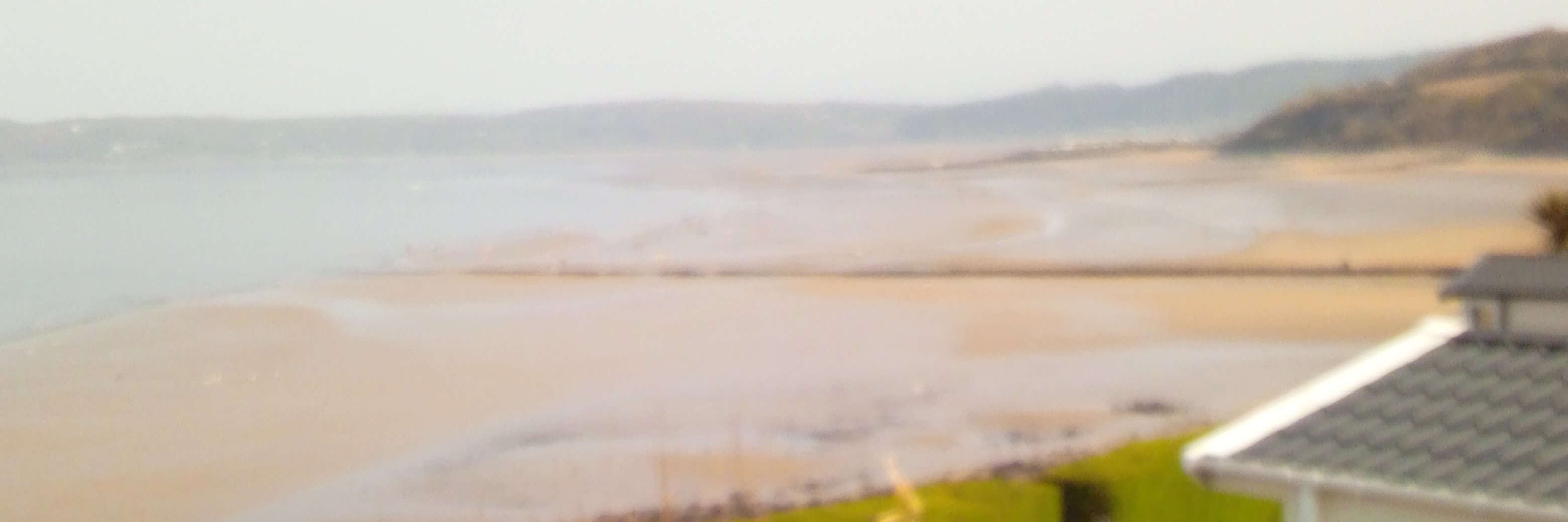 muscatbet's profile banner image