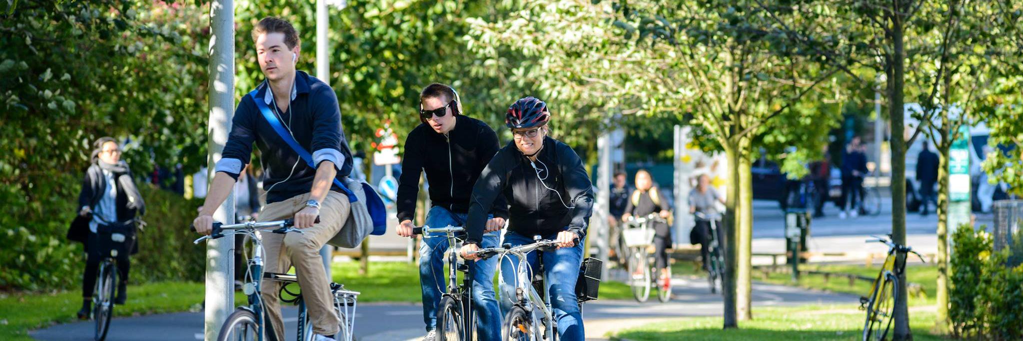 Cycling Embassy of 🇩🇰Denmark banner