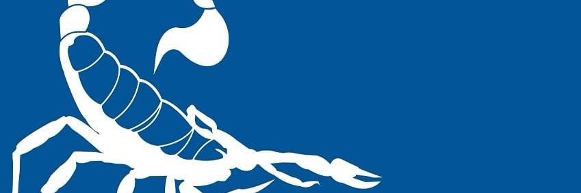 Hampset Cricket Club banner