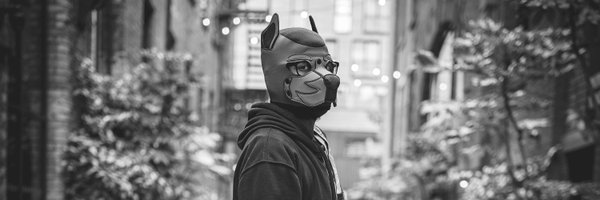 Blitz__Fox Profile Banner