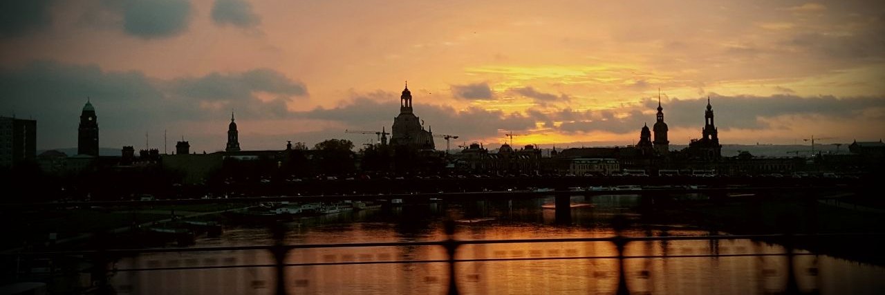 Dresdner Geschichtsverein e. V. banner