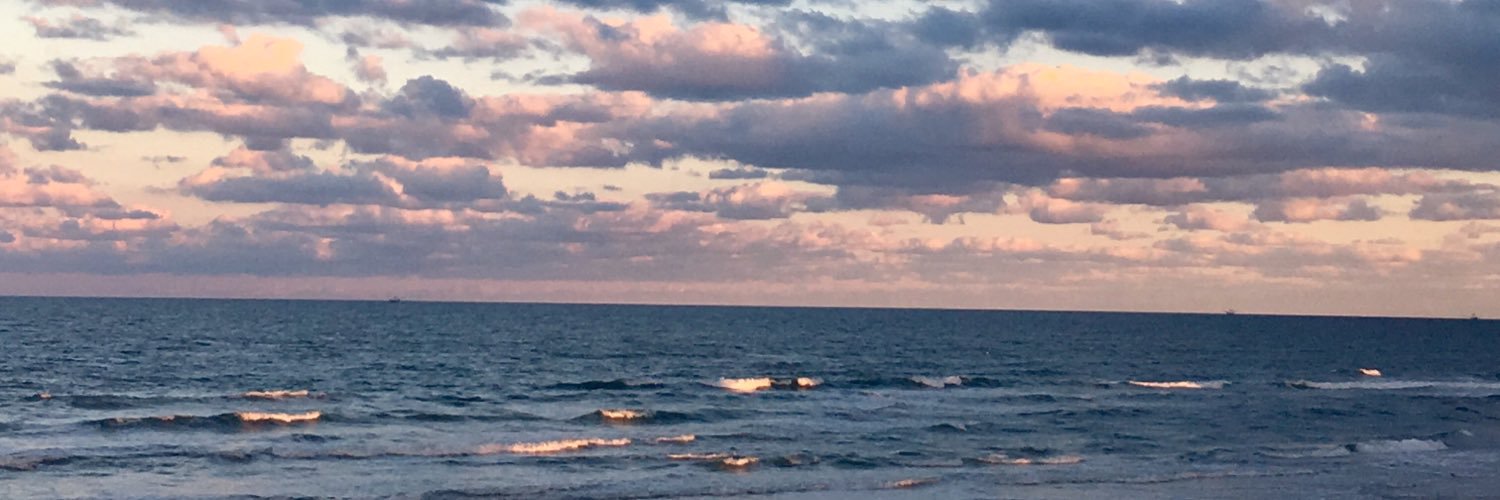 lizzy_painter's profile banner image