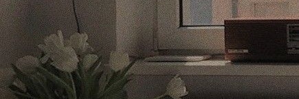 L ; ia banner