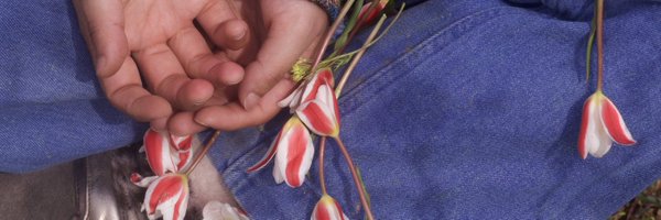 mirmehak895 Profile Banner