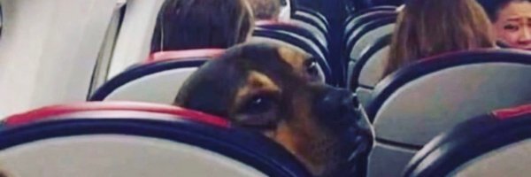 Lagrandeur_ Profile Banner