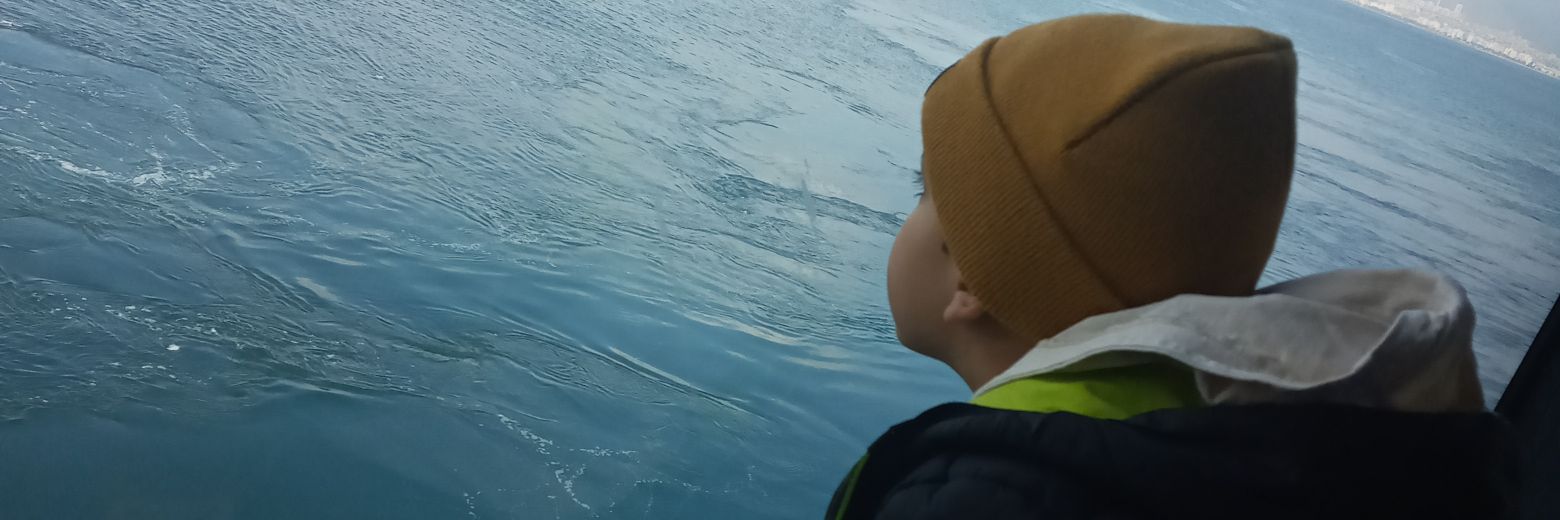 HalisGenc1's profile banner image