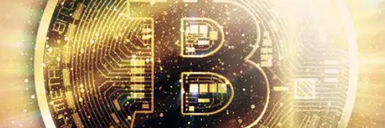 Maxicrouton banner