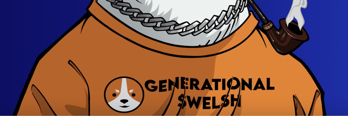 MuddieToes.BTC FifaWorldCup26.BTC $WELSH's banner
