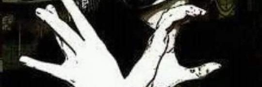 Vollereia's profile banner image