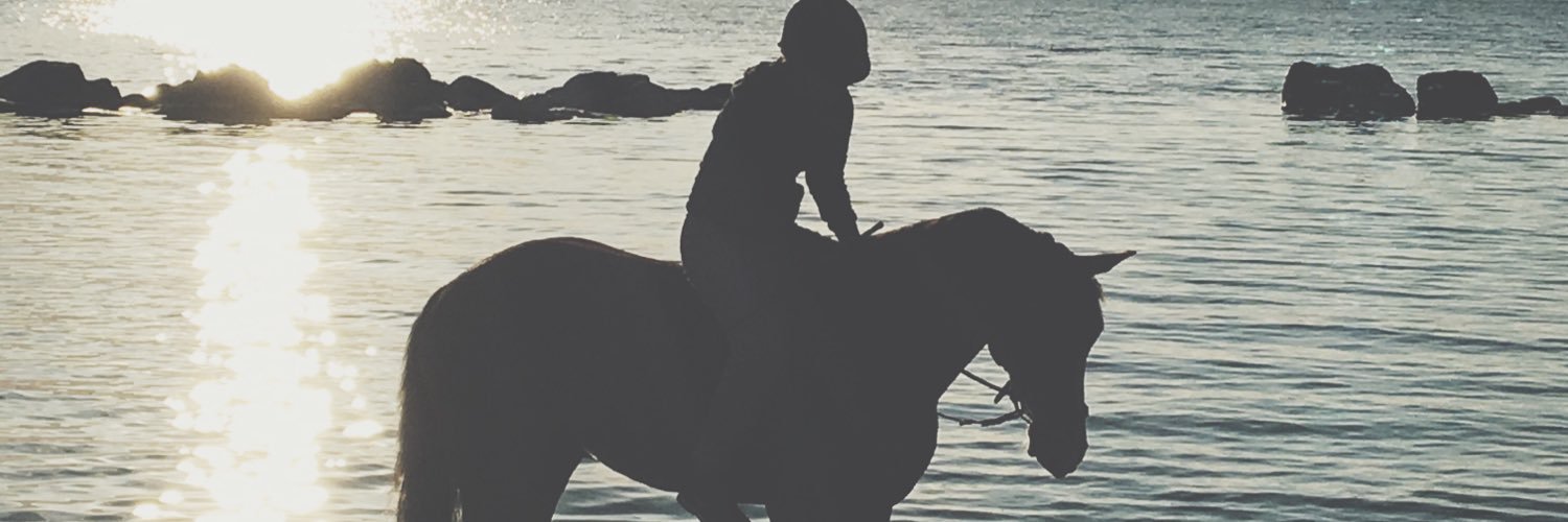 ebbagranander's profile banner image
