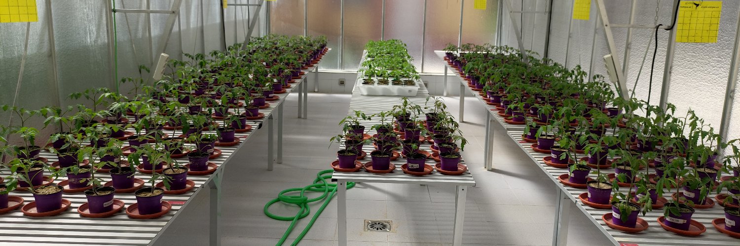 Juan Antonio Lopez banner