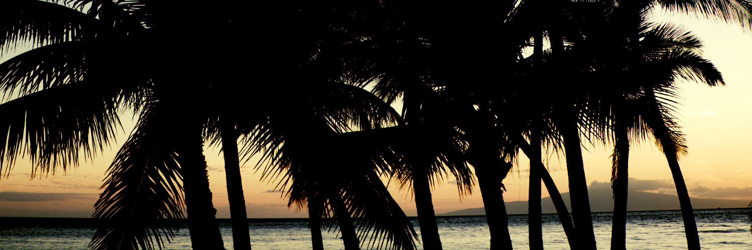 SimonJohnsonAU's profile banner image