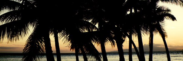 SimonJohnsonAU Profile Banner