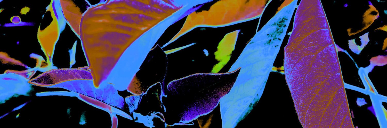 spaceplantt's profile banner image