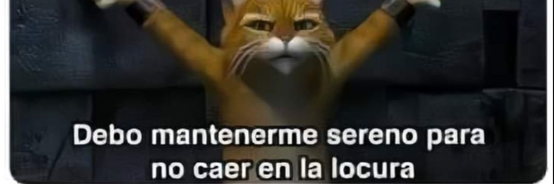 Mery Haga banner
