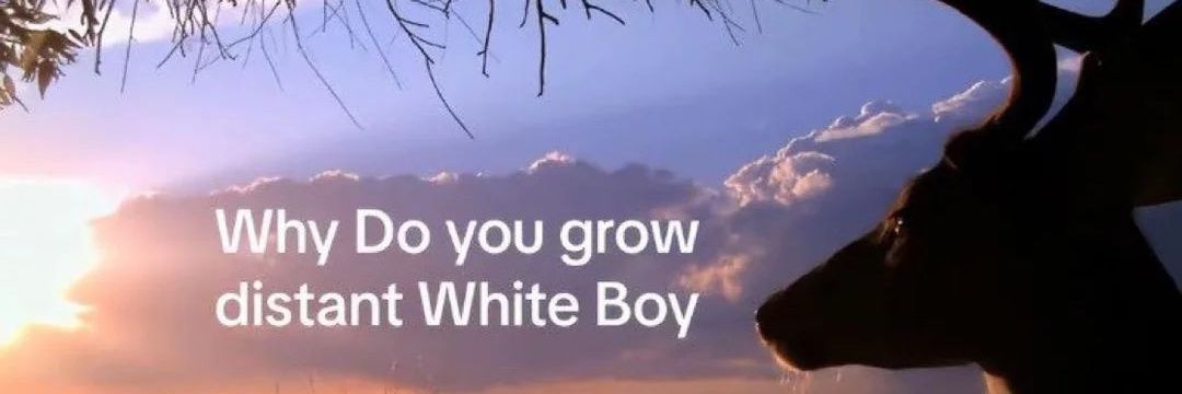 A certain thumb soldato #thumbtwt banner