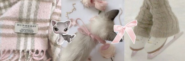 mjrrorbll Profile Banner