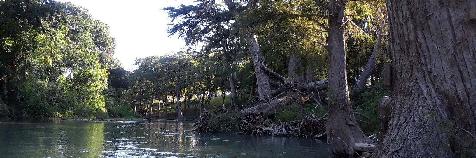 TexasNetwork's profile banner image