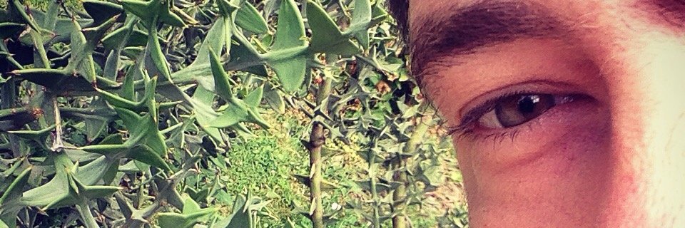 alavas's profile banner image