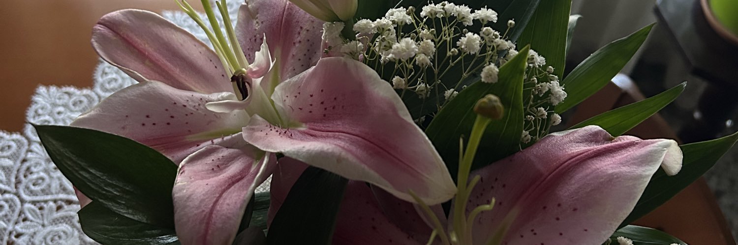 maaria_xh's profile banner image