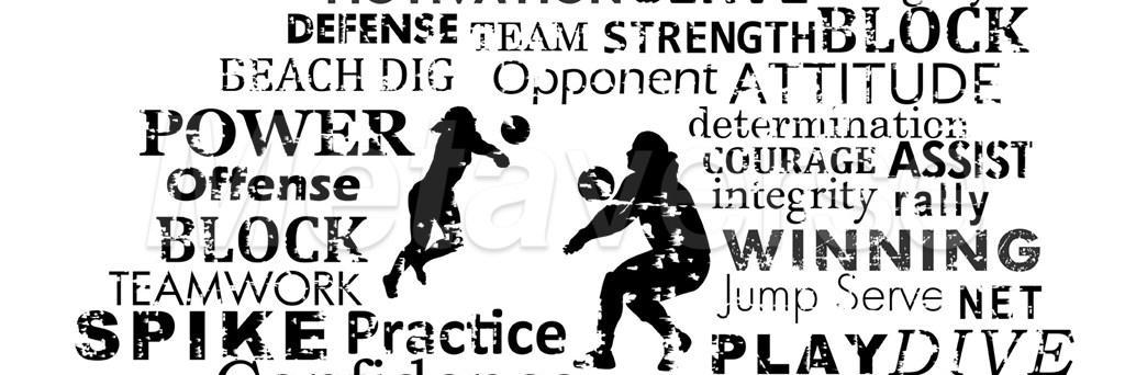 22vollyball's profile banner image