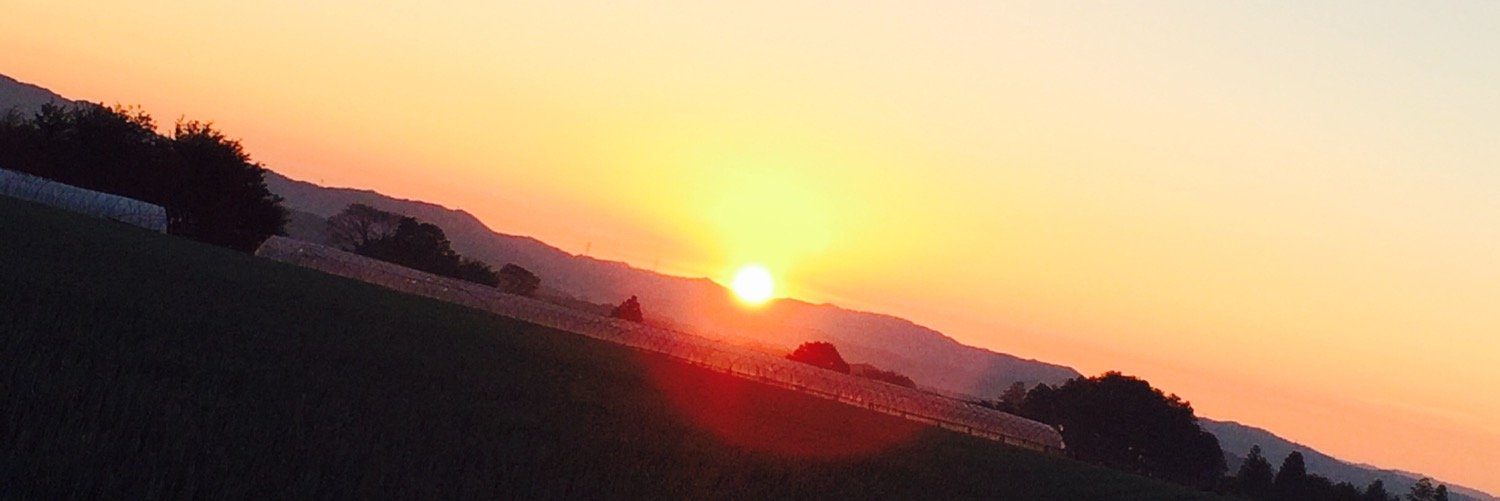 pino475's profile banner image