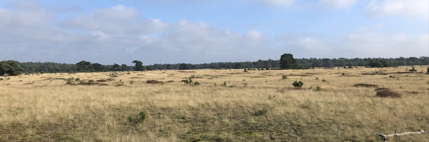 Louke Koopmans banner