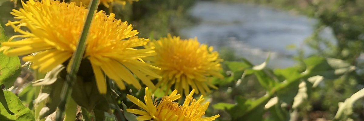 KekaAmani's profile banner image